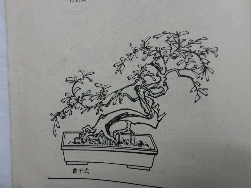 DSC00348_С.JPG