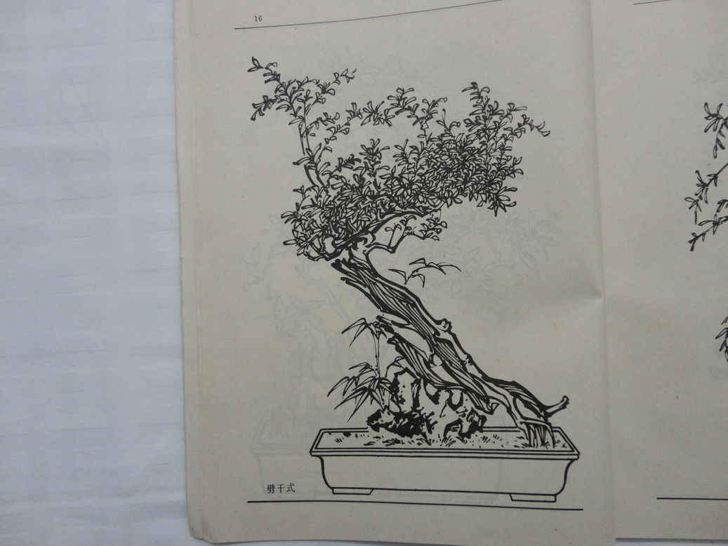 DSC00350_С.JPG