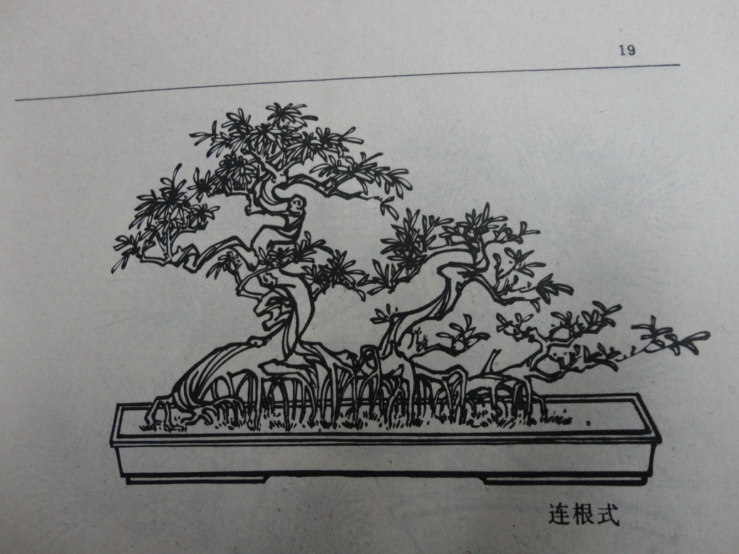 DSC00354_С.JPG