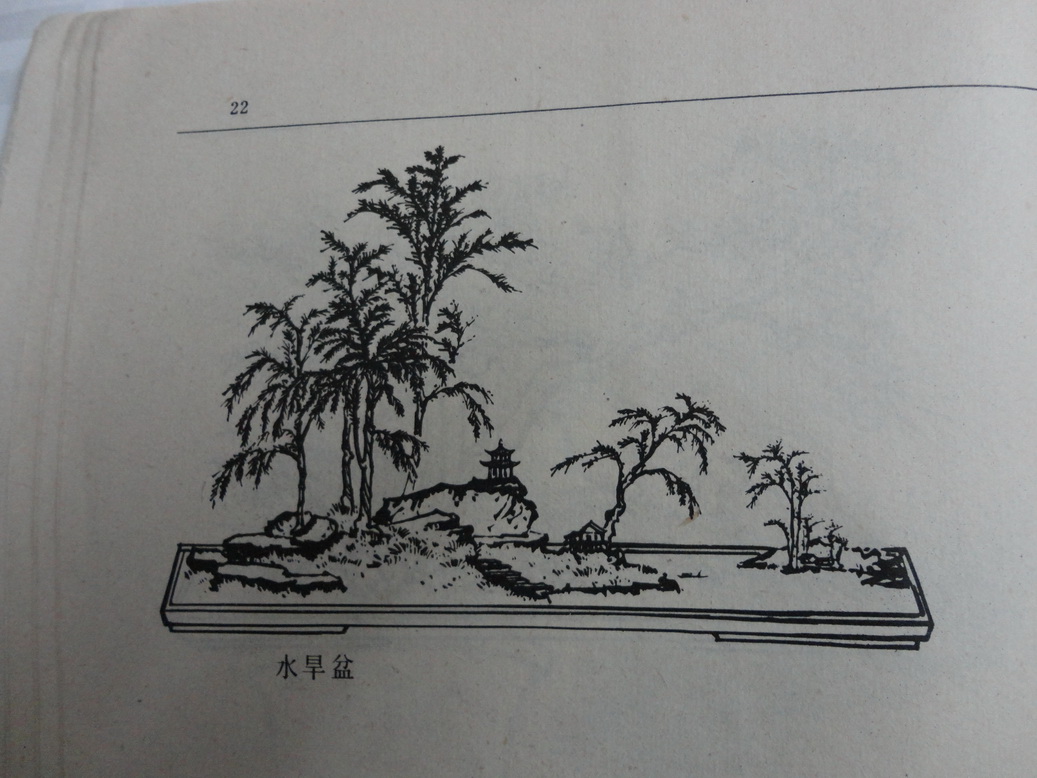 DSC00361_С.JPG