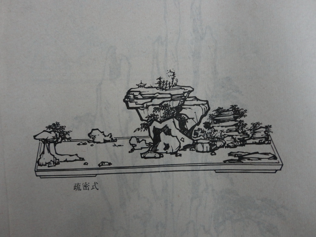 DSC00370_С.JPG