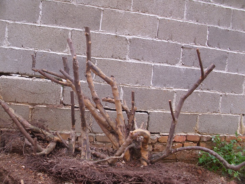 QQͼƬ20131122200532.jpg