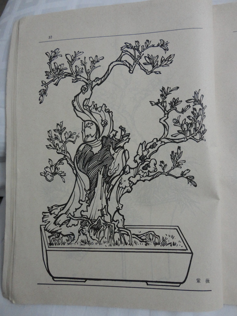 DSC00374_С.JPG