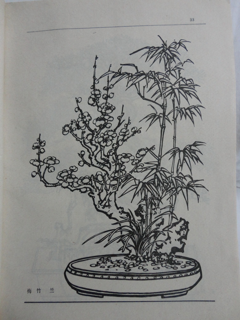 DSC00375_С.JPG