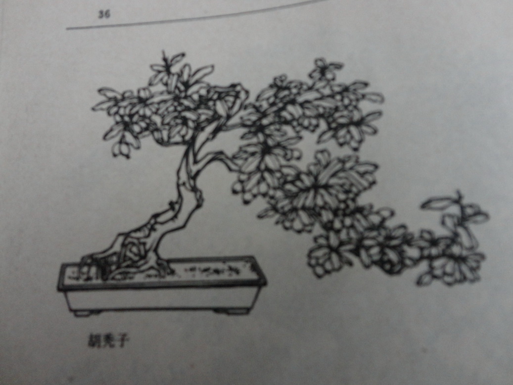 DSC00378_С.JPG