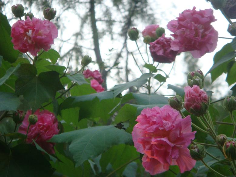 DSC05889.JPG