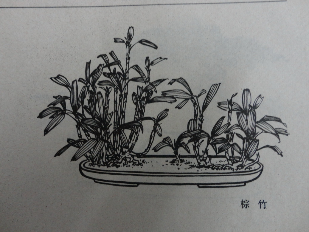 DSC00380_С.JPG