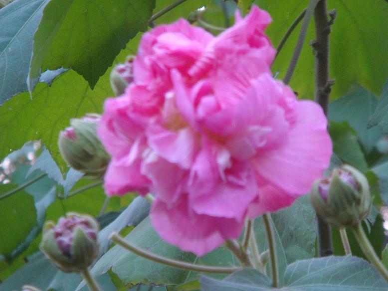 DSC05896.JPG