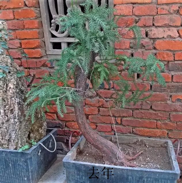 ͼ (1).jpg