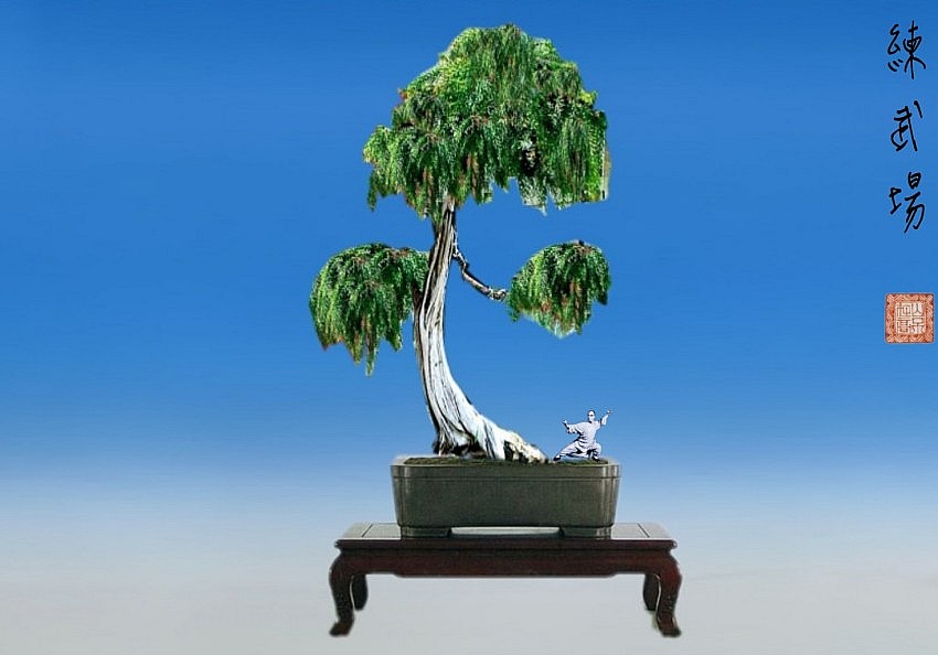 ͼ (4)_conew5.jpg