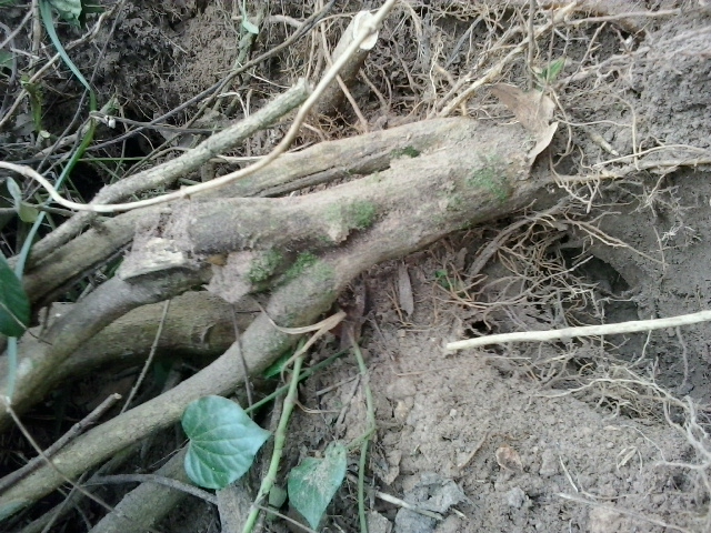 20131123_123917.jpg