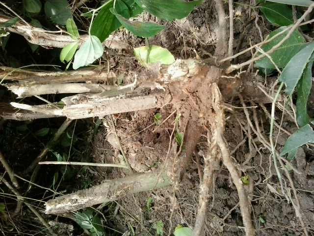 20131123_123244.jpg