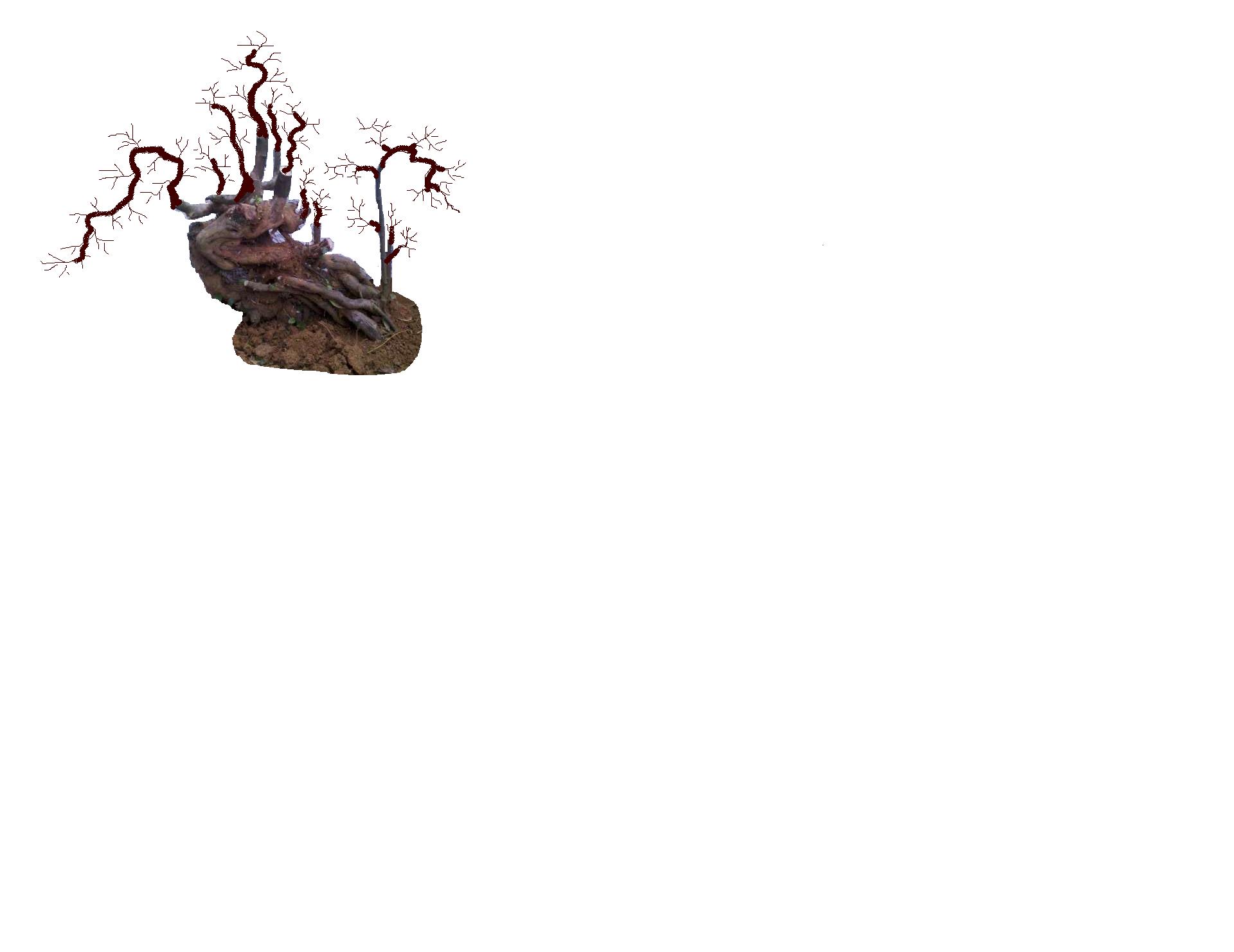 δ.JPG