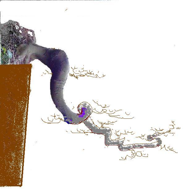 1294124611591.jpg