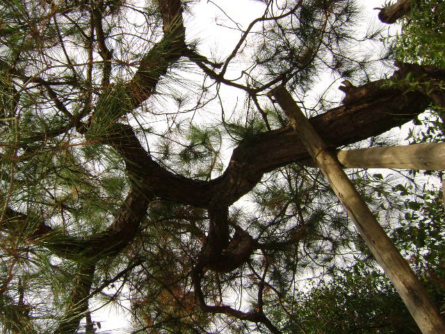 DSC03531.JPG