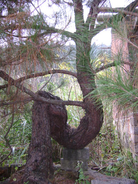 DSC03542.JPG