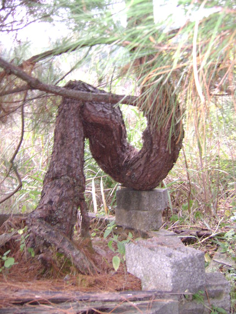 DSC03543.JPG