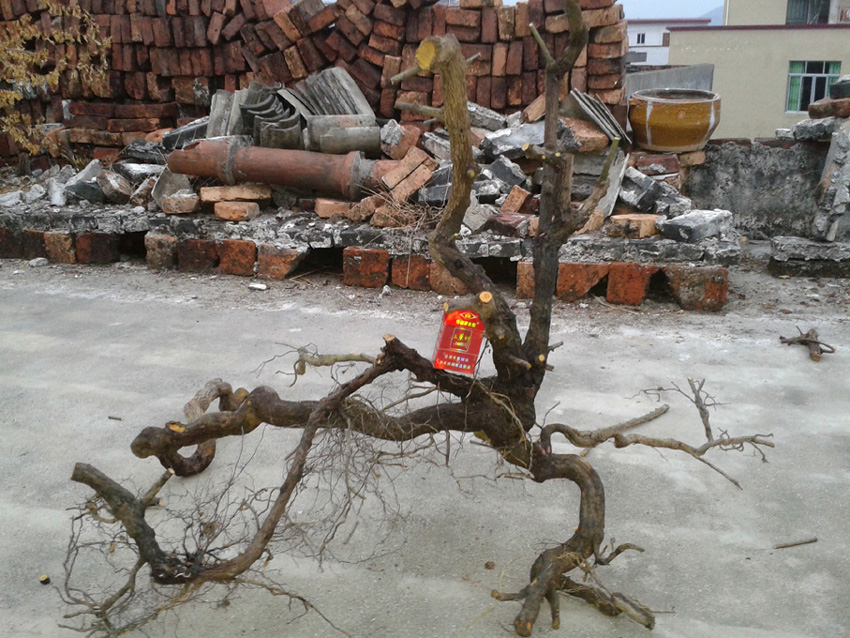20131123_174611.jpg