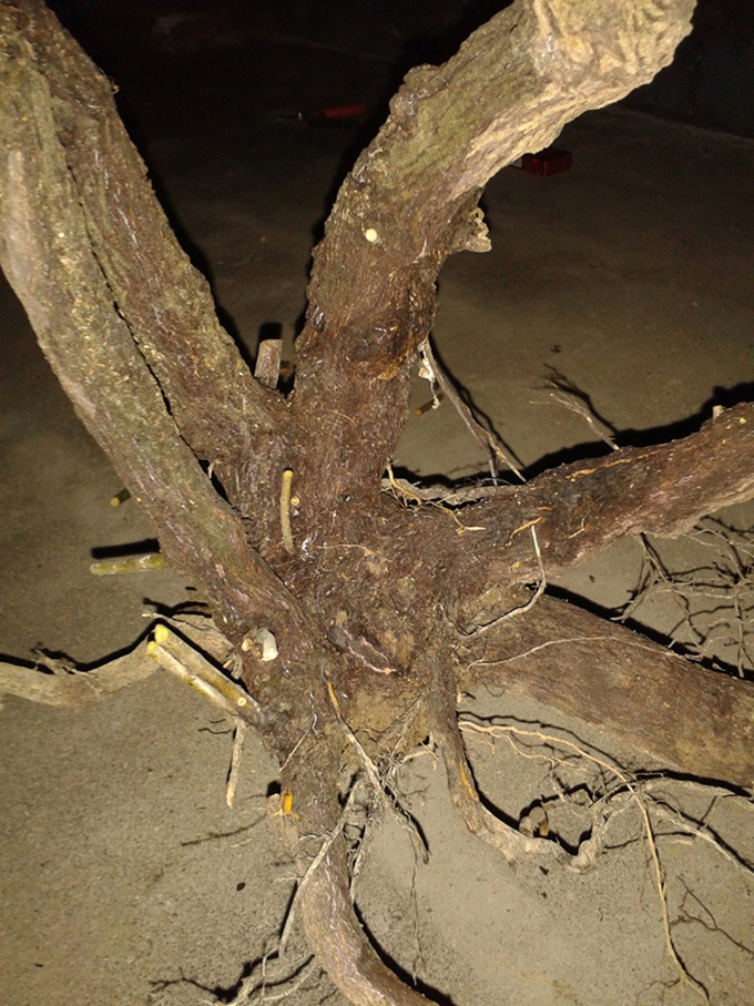 20131123_181851.jpg