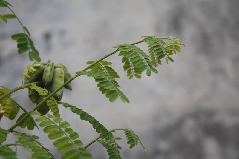 Ƭ20131026ۺ 409.jpg