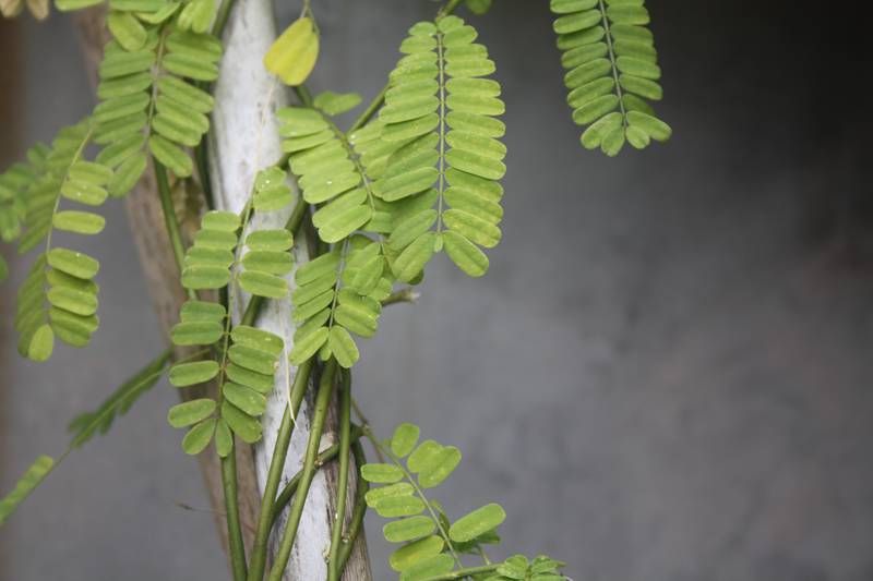 Ƭ20131026ۺ 414.jpg