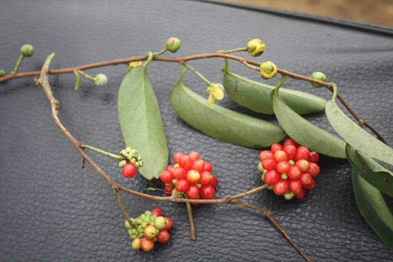 Ƭ20131026ۺ 379.jpg
