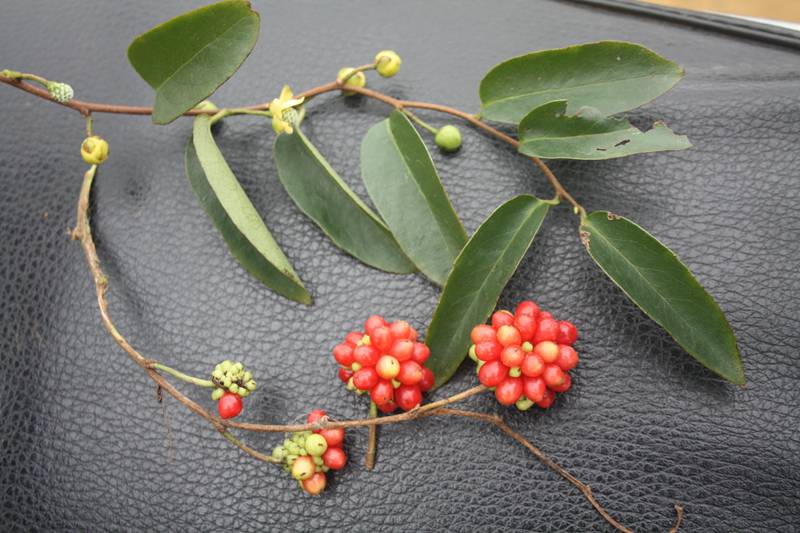 Ƭ20131026ۺ 381.jpg