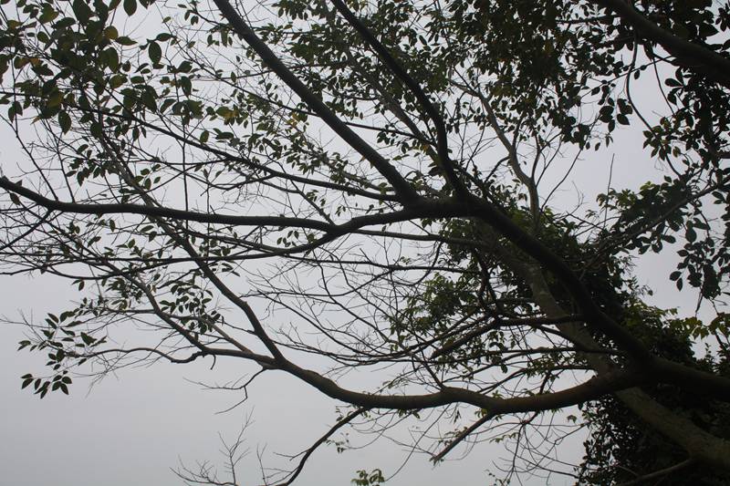 Ƭ20131026ۺ 371.jpg