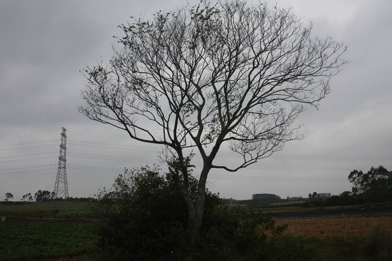 Ƭ20131026ۺ 375.jpg