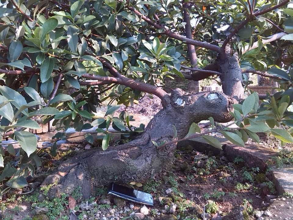 QQͼƬ20131124163809.jpg