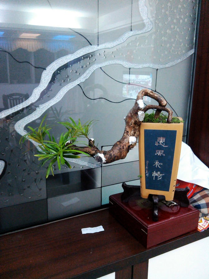 IMG_20131110_203034.jpg