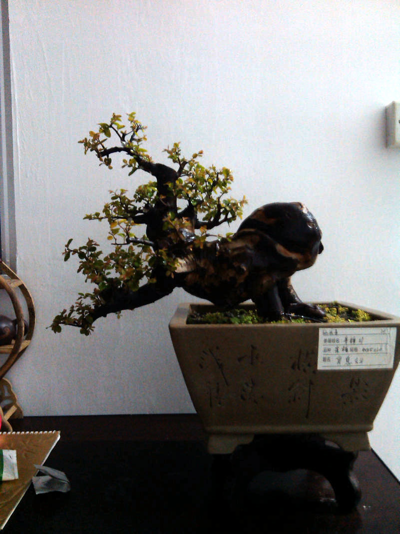 IMG_20131121_231615.jpg