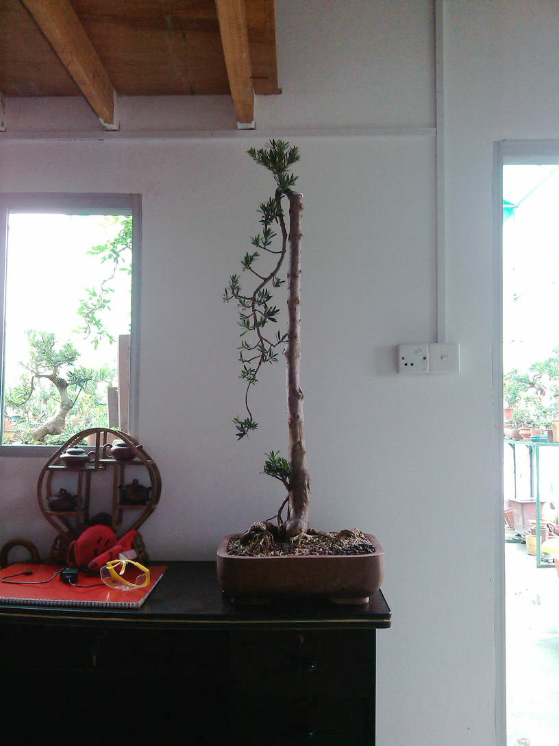IMG_20131124_134303.jpg