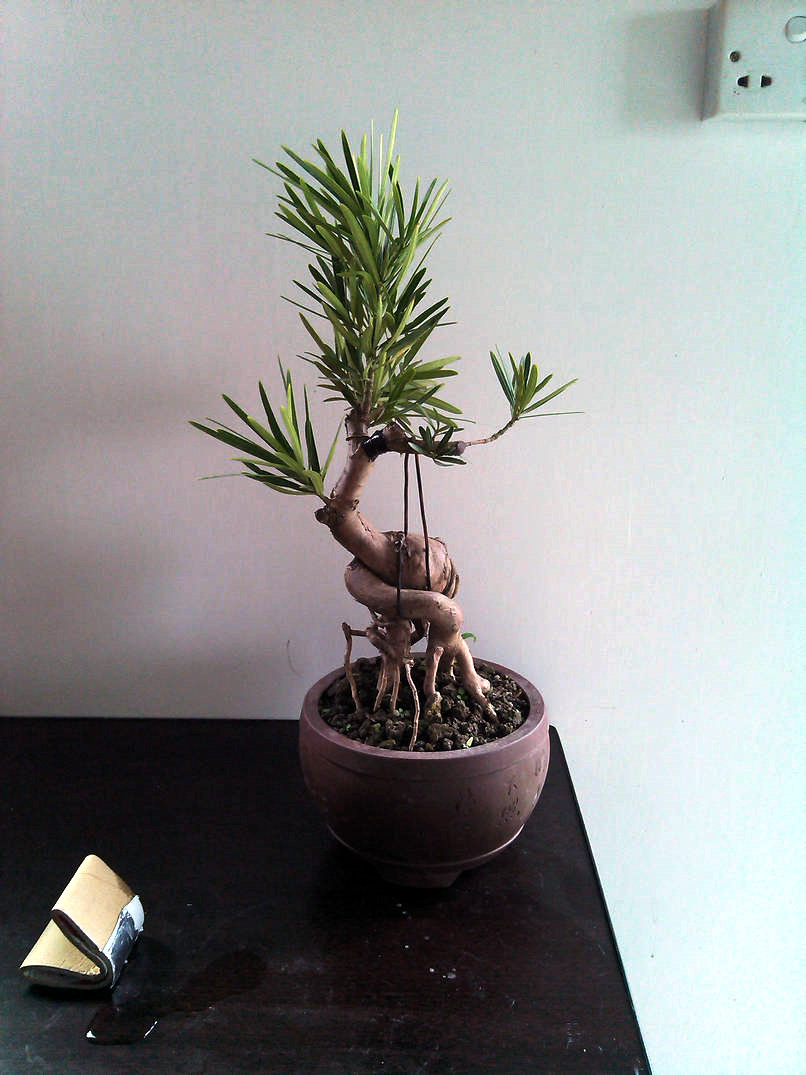 IMG_20131124_135434.jpg