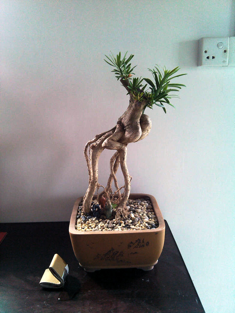 IMG_20131124_135630.jpg