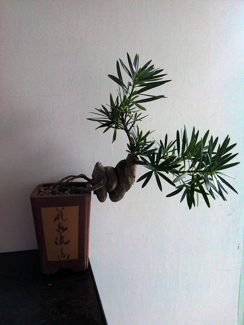 IMG_20131124_140107.jpg