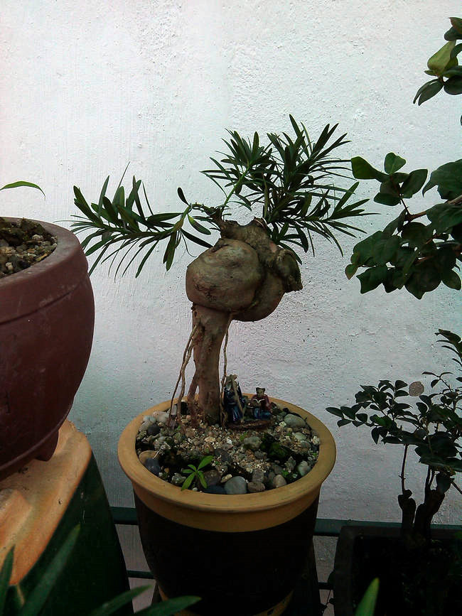 IMG_20131124_140759.jpg