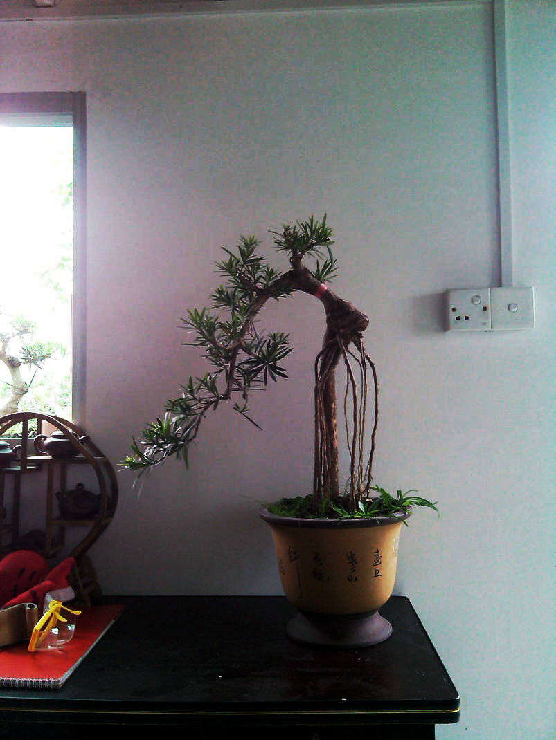 IMG_20131124_141256.jpg