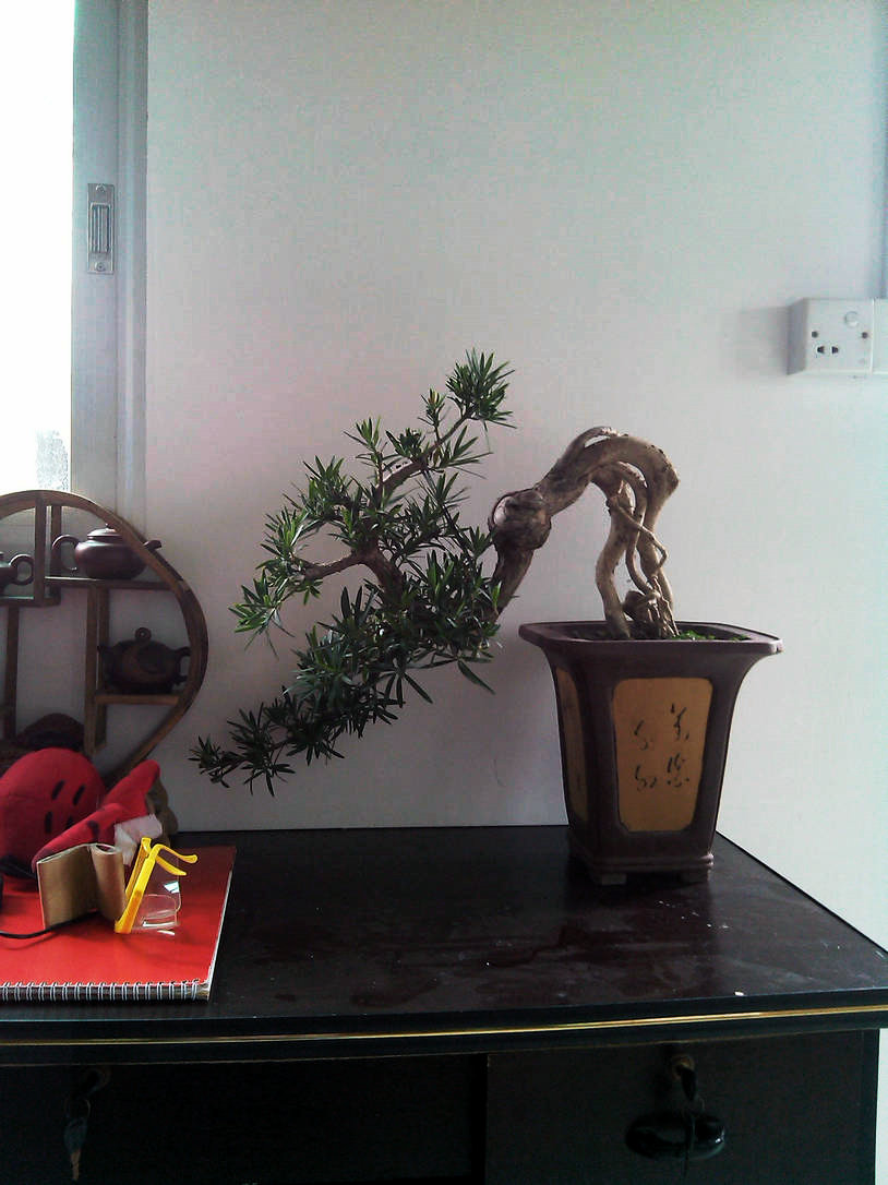IMG_20131124_141642.jpg