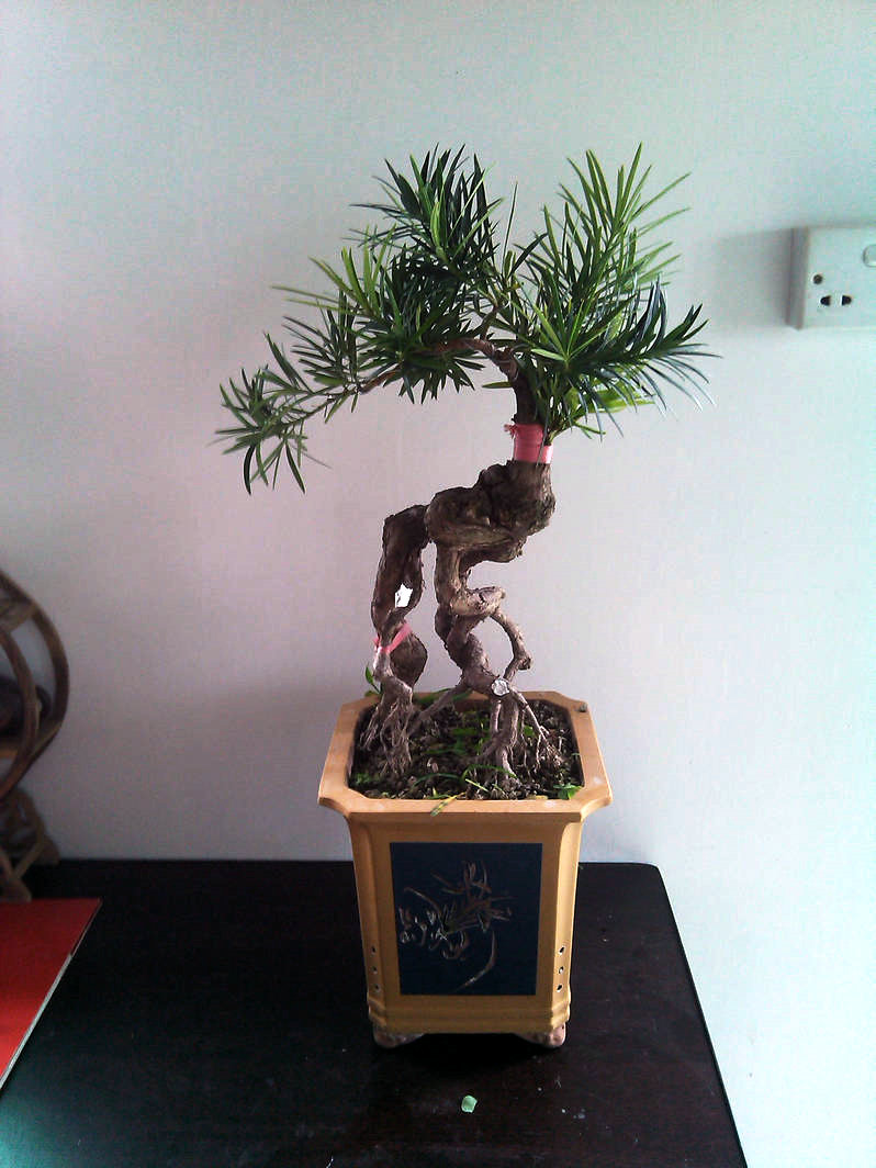 IMG_20131124_142223.jpg
