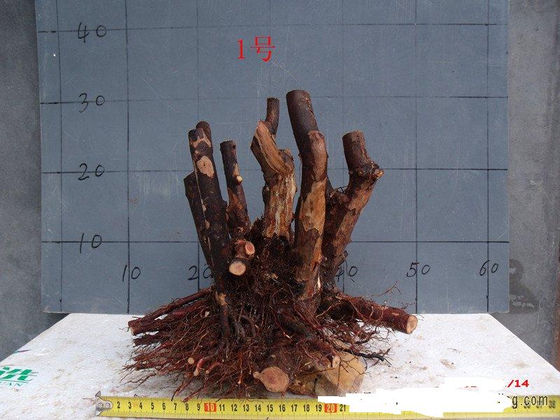 085839ydahnprzyprln9yl[1].jpg