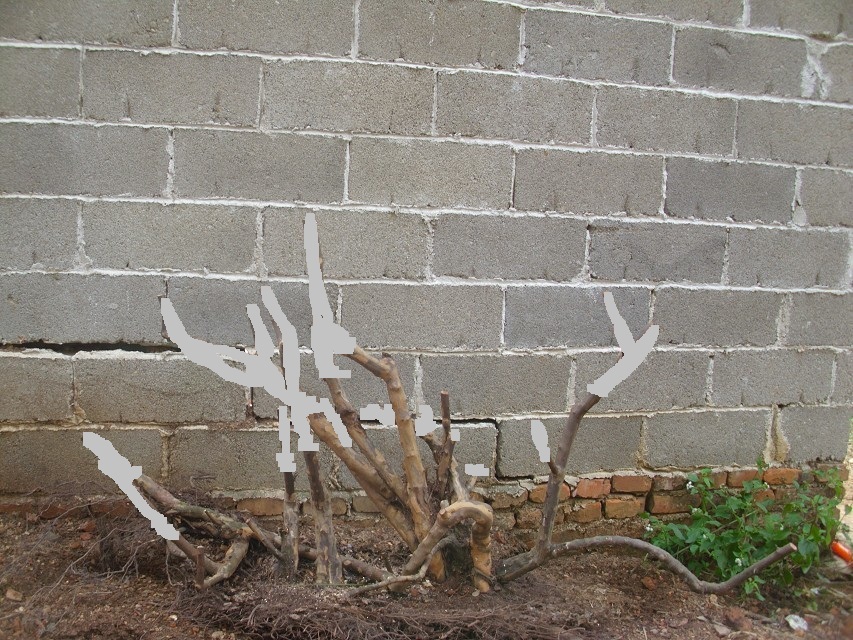 201202oc754cu7zcbbutc4 - .jpg