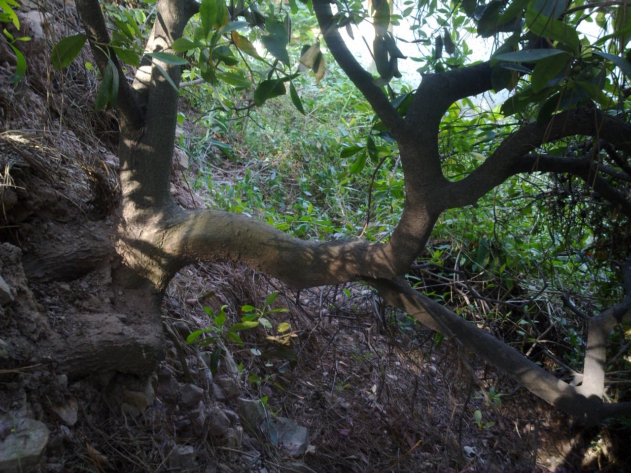 201310071236.jpg