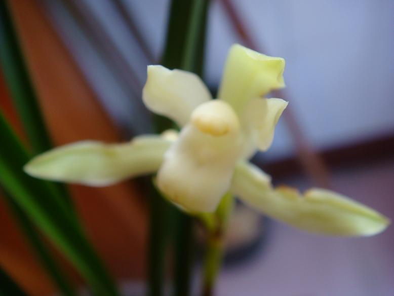 DSC06131.JPG