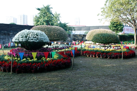 _MG_9466.JPG