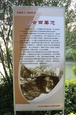 IMG_9355.JPG