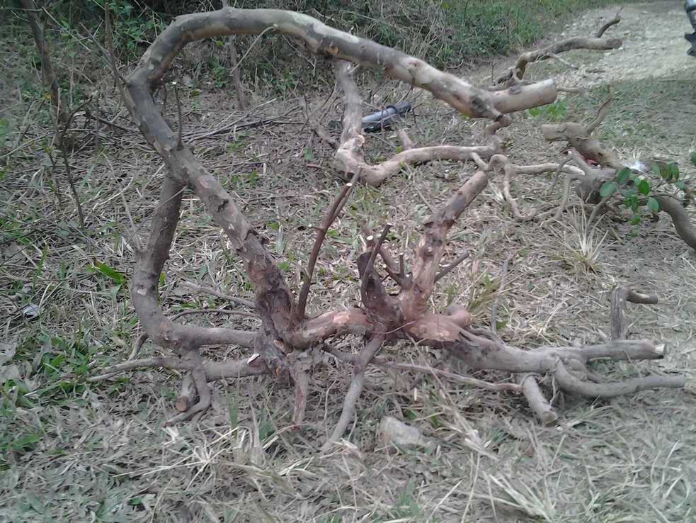 20131127_170238.jpg