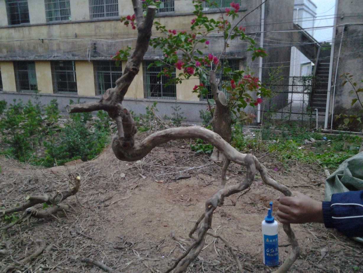 20131127_173113.jpg