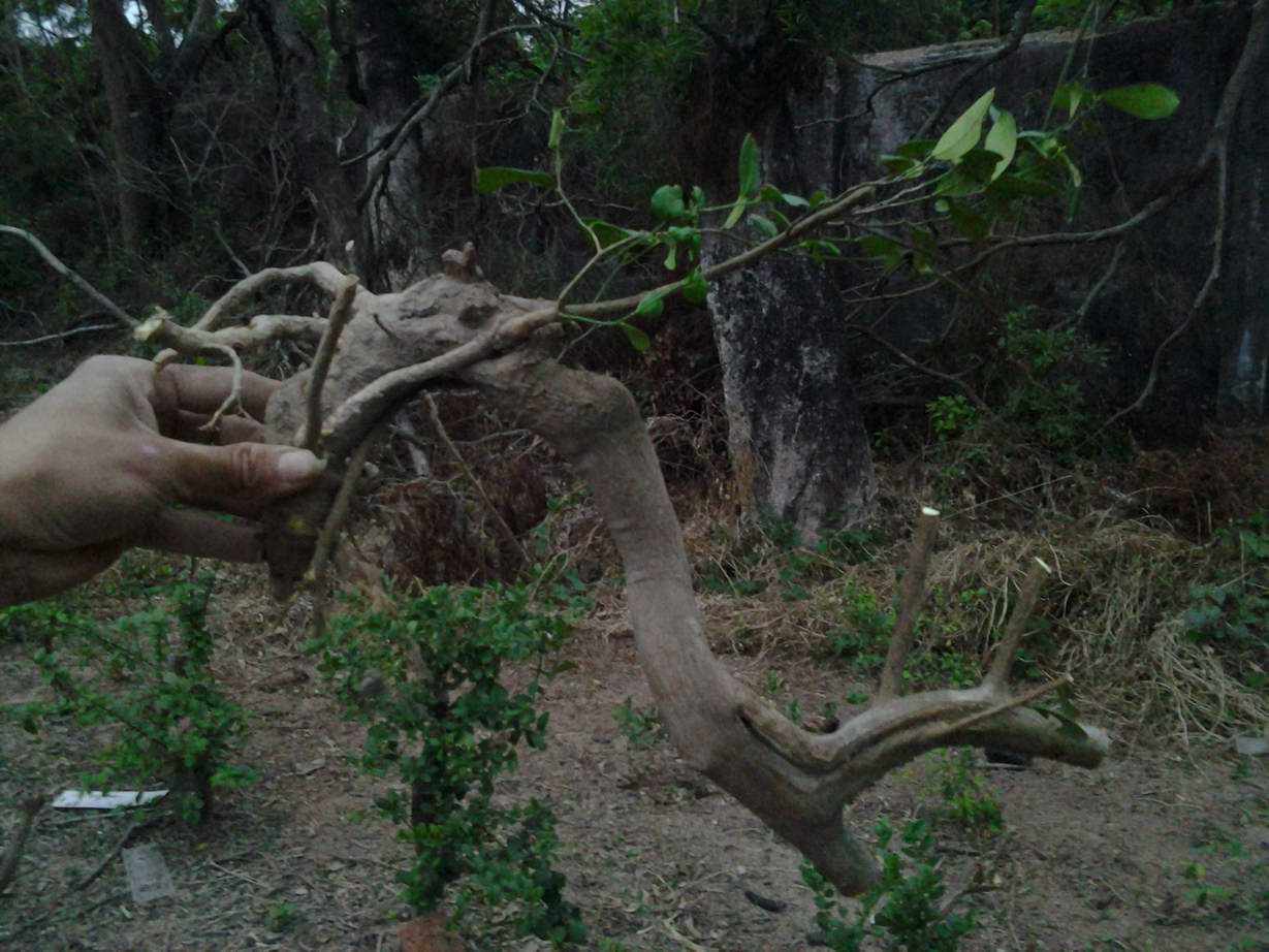 20131127_173249.jpg