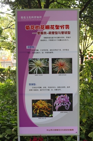 IMG_9520.JPG